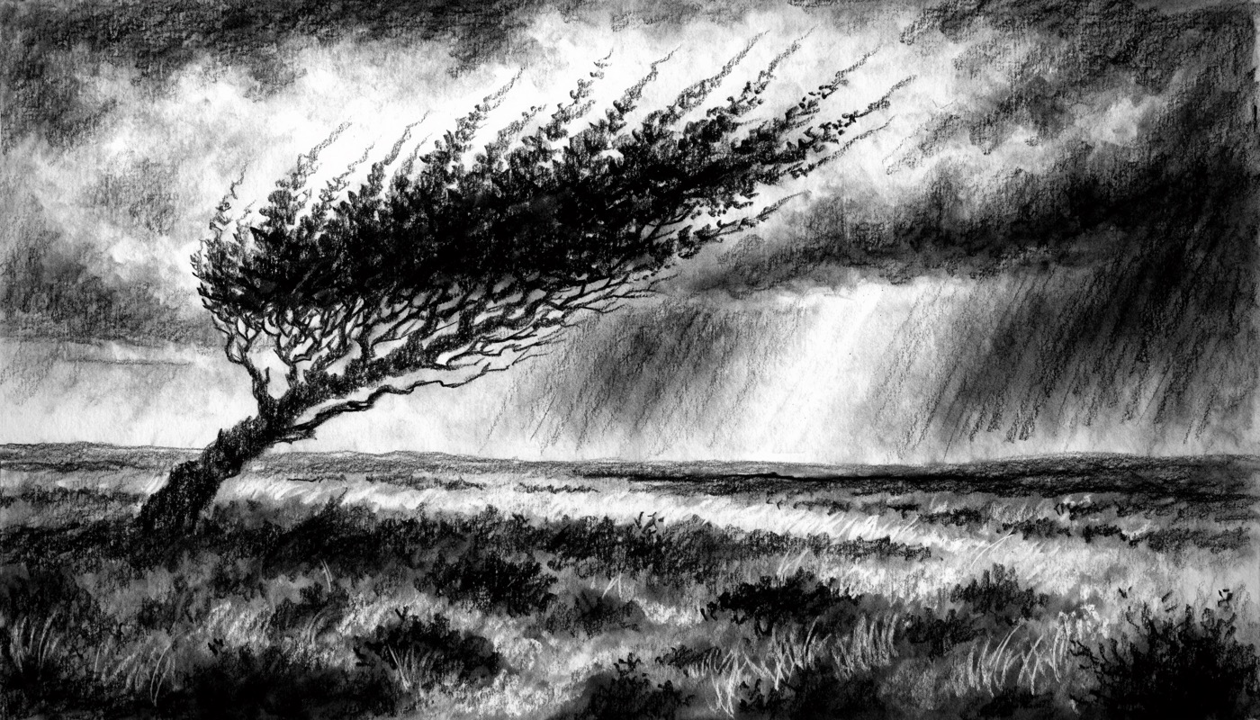Charcoal drawing of a lone wind-bent hawthorn tree on open moorland under heavy storm clouds, rain curtains on the horizon and a pale shaft of light falling across the heather