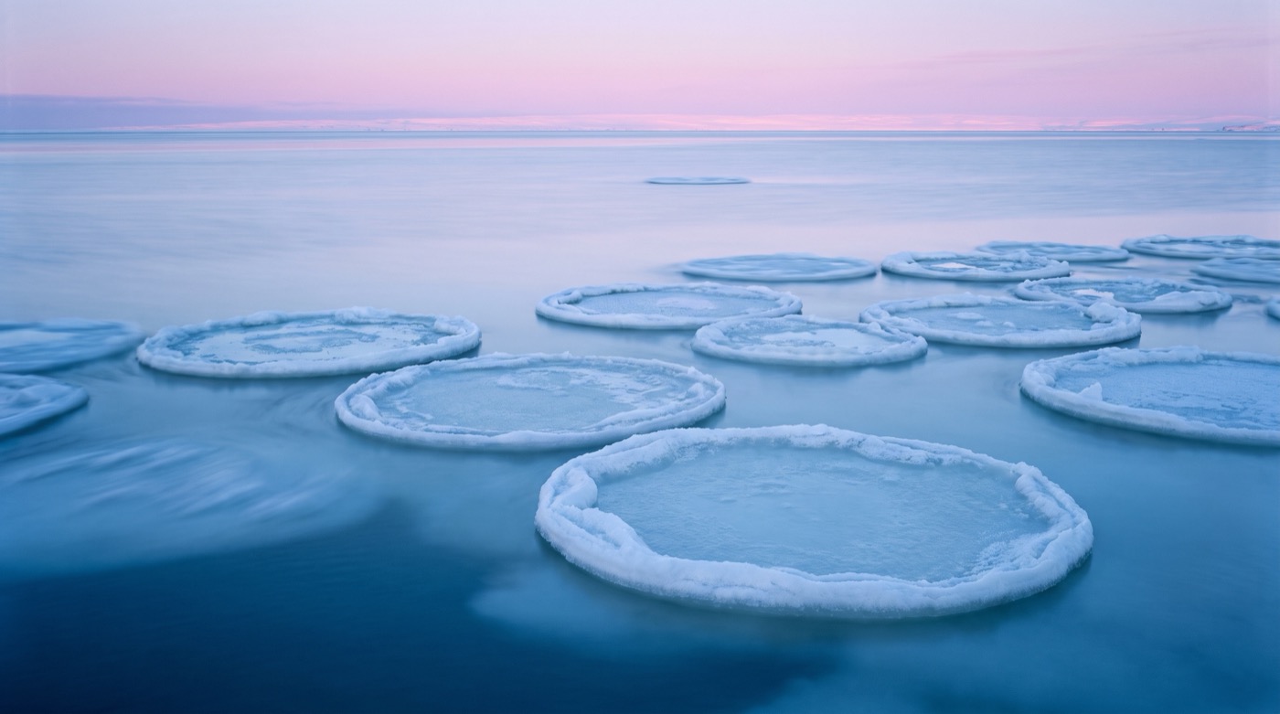 Long exposure photograph of round pancake sea ice plates with raised white rims drifting on a calm blue polar sea at dawn, a soft pink and lavender band of light along the horizon